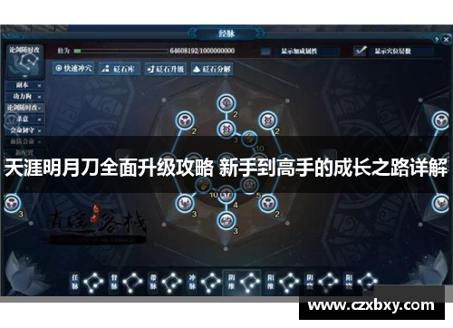 天涯明月刀全面升级攻略 新手到高手的成长之路详解