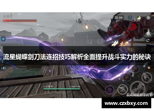流星蝴蝶剑刀法连招技巧解析全面提升战斗实力的秘诀